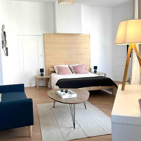 Studio Le «Victor Hugo» , Hyper Centre Ville Vienne  Eksteriør billede