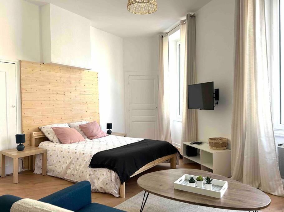 Studio Le «Victor Hugo» , Hyper Centre Ville Vienne  Eksteriør billede